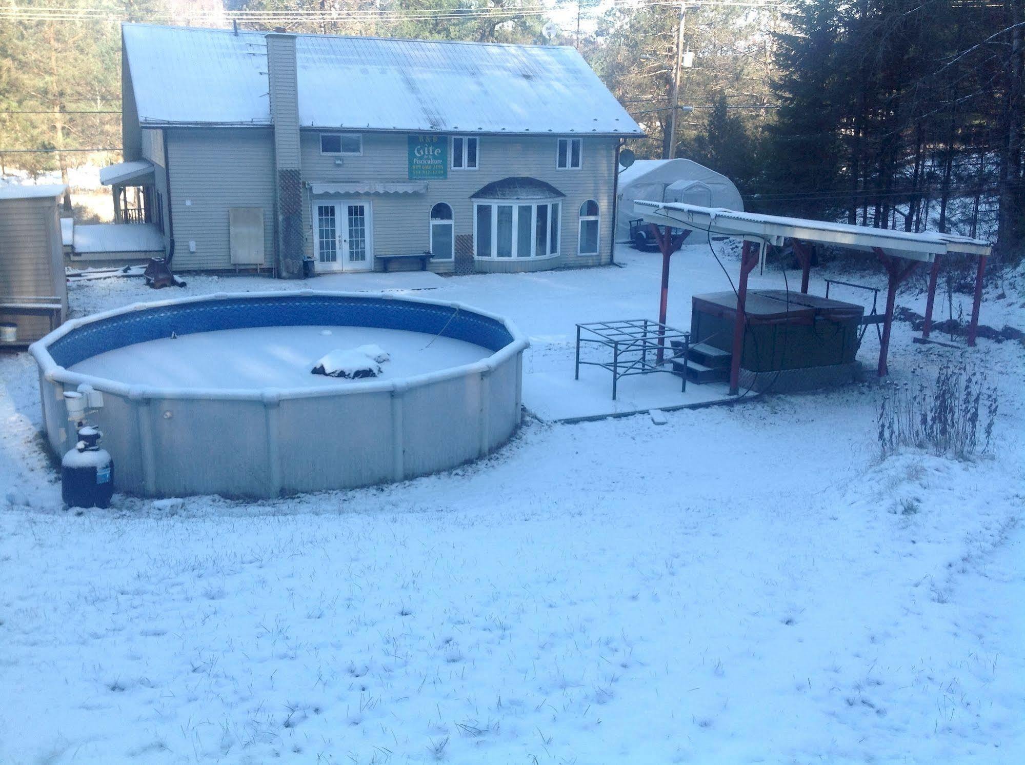 Gite De La Pisciculture Saint-Faustin-Lac-Carre Exterior foto